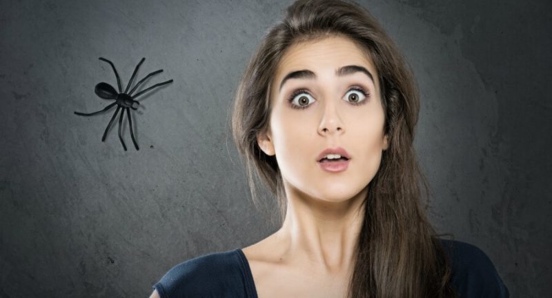 Strah od pauka – Arahnofobija