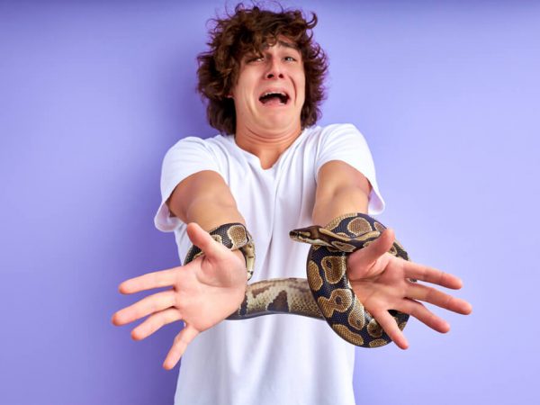 Strah od zmija – Zašto se javlja i kako ga prevazići?
